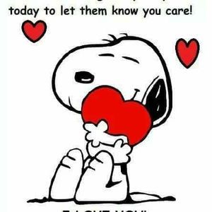 Meet your Posher, Otis